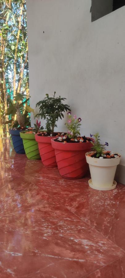 Mahabs Homestay Villa Mamallapuram Dış mekan fotoğraf